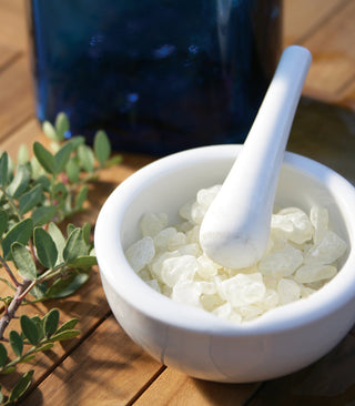 Λαχανόσουπα βελουτέ με γαρίδες σβησμένες με μαστίχα -  mastihashop