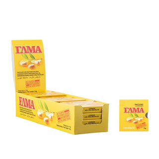 Παστίλιες με Μαστιχέλαιο Χίου 5x2.2g ΕΛΜΑ - mastihashop - ΖΑΧ-346