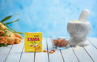 Παστίλιες με Μαστιχέλαιο Χίου 5x2.2g ΕΛΜΑ - mastihashop - ΖΑΧ-346